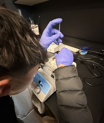 Mattias working at a laboratory bench